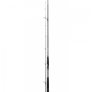 Daiwa Morethan Branzino Ags Shore Battle Commander II